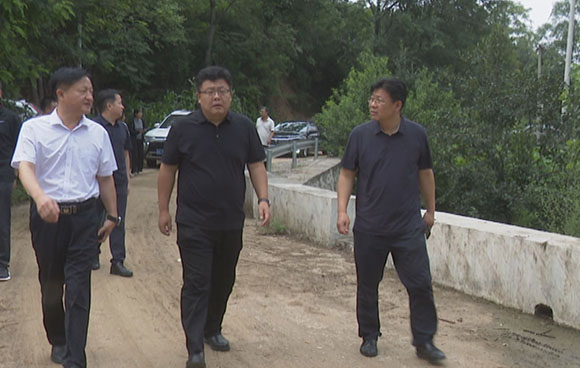 縣長胡萬程調研防汛備汛工作
